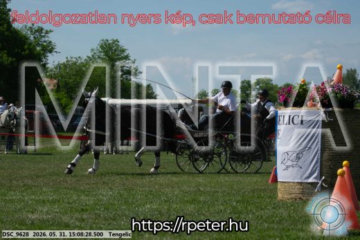 Mintakép 20260531-1464