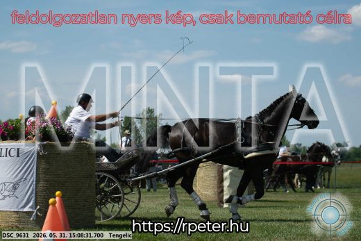 Mintakép 20260531-1465