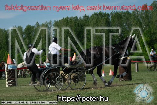 Mintakép 20260531-1467