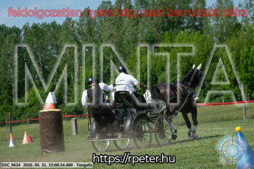 Mintakép 20260531-1468