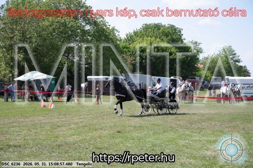 Mintakép 20260531-1470