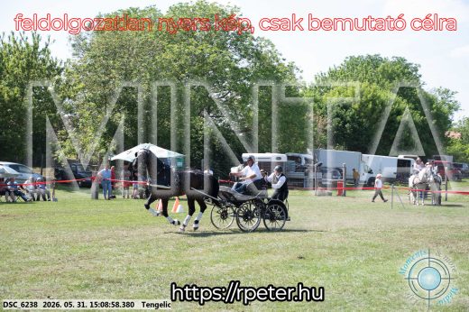 Mintakép 20260531-1471