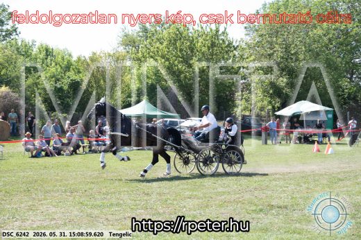 Mintakép 20260531-1473