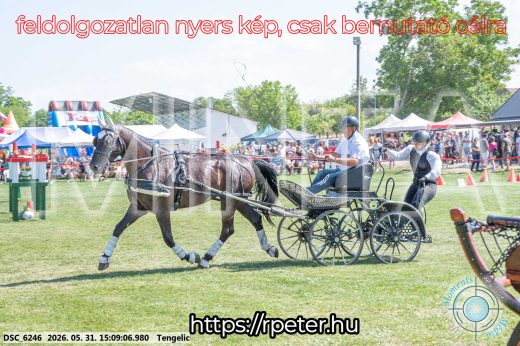 Mintakép 20260531-1474
