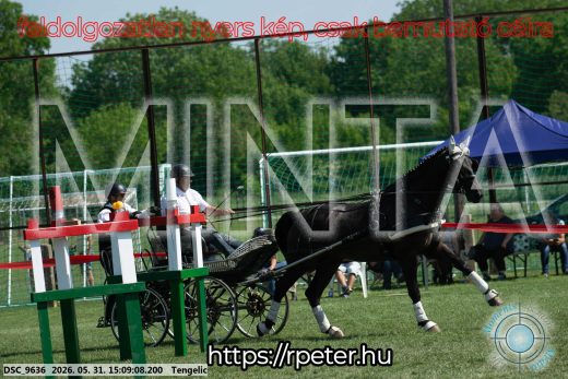 Mintakép 20260531-1475