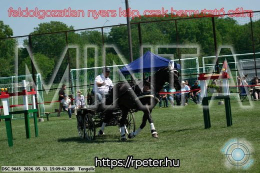 Mintakép 20260531-1476