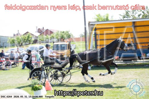 Mintakép 20260531-1477