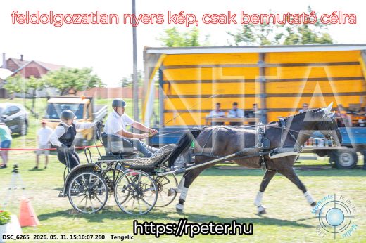 Mintakép 20260531-1478