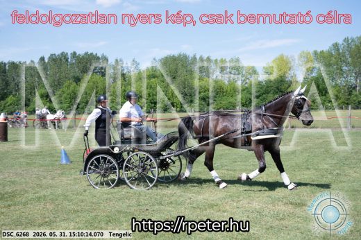 Mintakép 20260531-1480