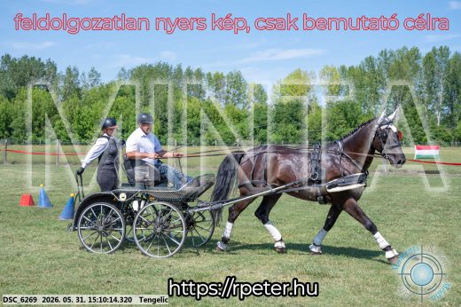 Mintakép 20260531-1481