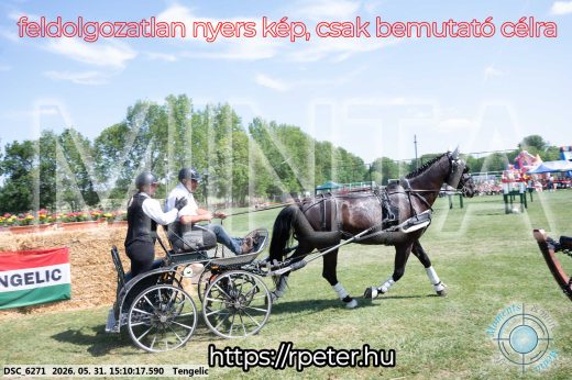 Mintakép 20260531-1482