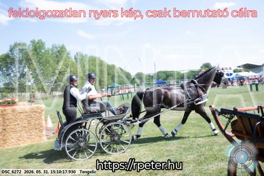 Mintakép 20260531-1483