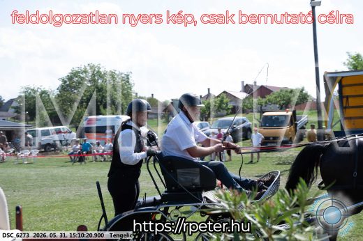 Mintakép 20260531-1484