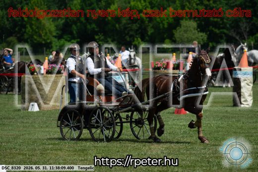 20260531-113809-DSC_8320.jpg