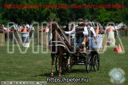 20260531-113814-DSC_8321.jpg