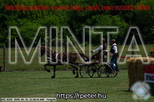 Mintakép 20260531-1489