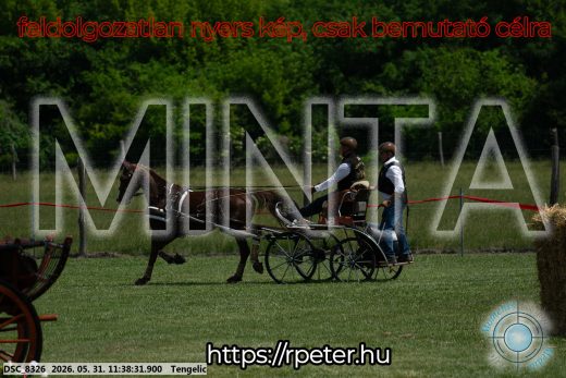 Mintakép 20260531-1490