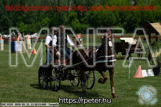 Mintakép 20260531-1492