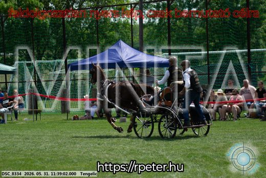Mintakép 20260531-1496