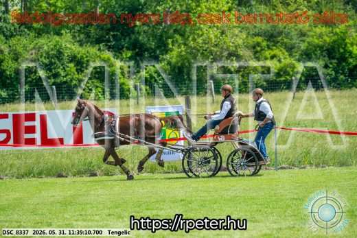 Mintakép 20260531-1498