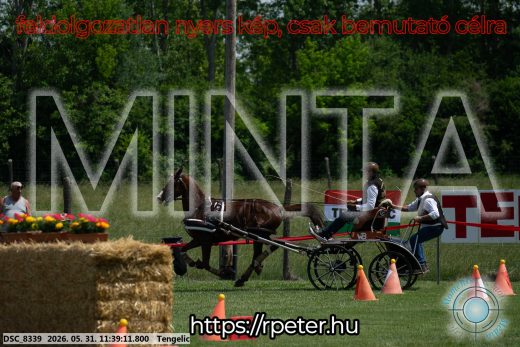 Mintakép 20260531-1500
