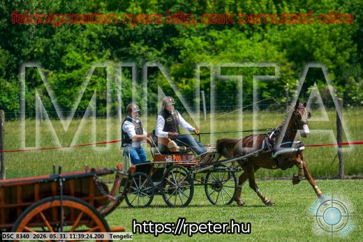 Mintakép 20260531-1501