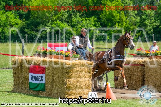 Mintakép 20260531-1502