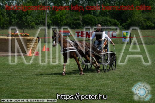 Mintakép 20260531-1505