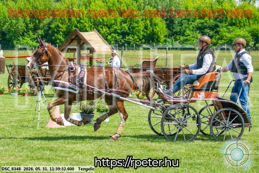 Mintakép 20260531-1507