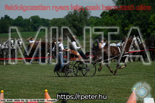 Mintakép 20260531-1508