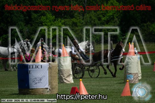 Mintakép 20260531-1509