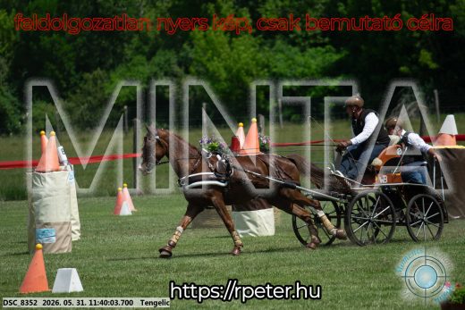Mintakép 20260531-1510