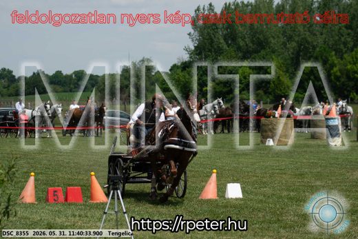 Mintakép 20260531-1512