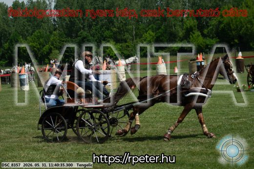 Mintakép 20260531-1514