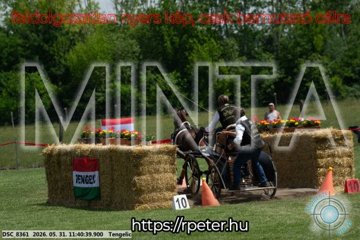 Mintakép 20260531-1518
