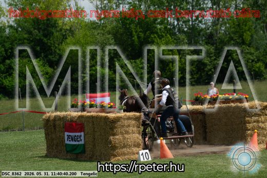 Mintakép 20260531-1519