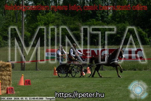 Mintakép 20260531-1520