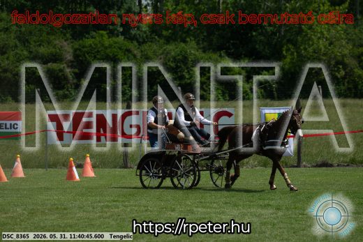 Mintakép 20260531-1521