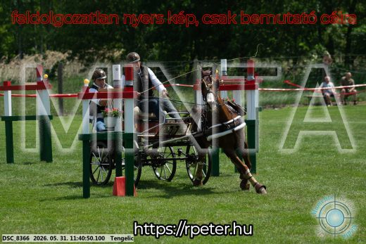 Mintakép 20260531-1522