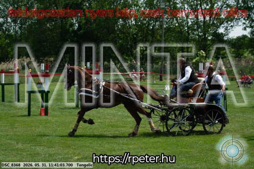 Mintakép 20260531-1524