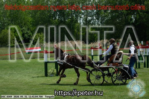Mintakép 20260531-1525