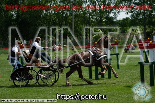 Mintakép 20260531-1526