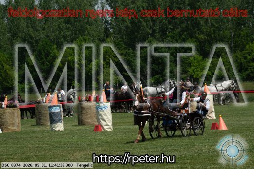 Mintakép 20260531-1528