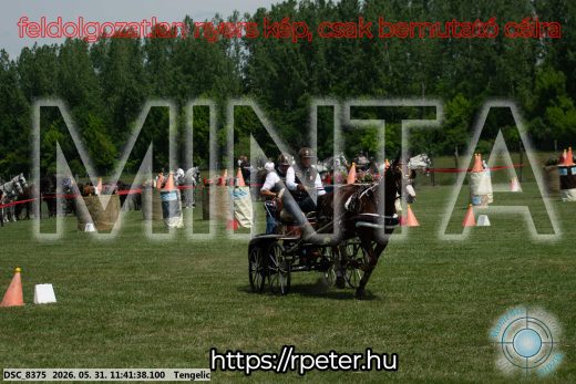 Mintakép 20260531-1529