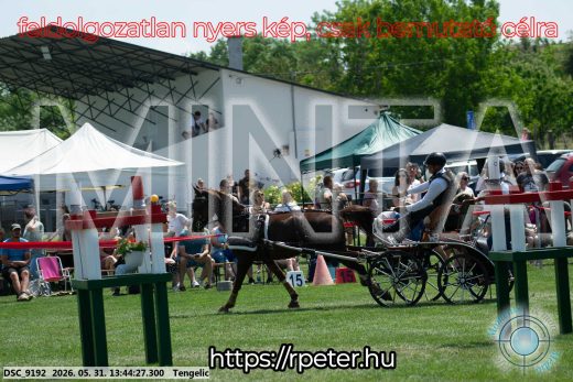 Mintakép 20260531-1538