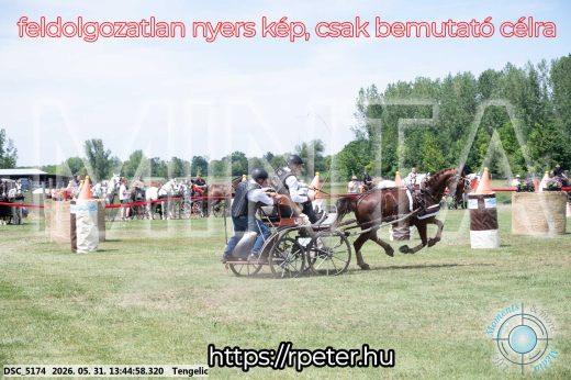 Mintakép 20260531-1546