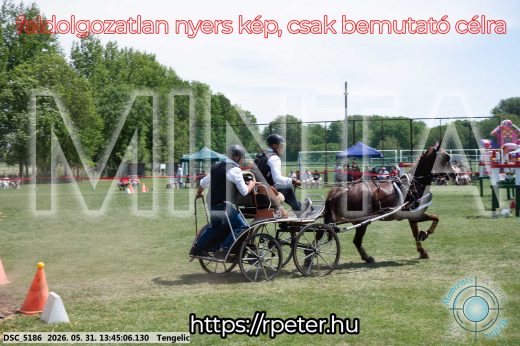 Mintakép 20260531-1548