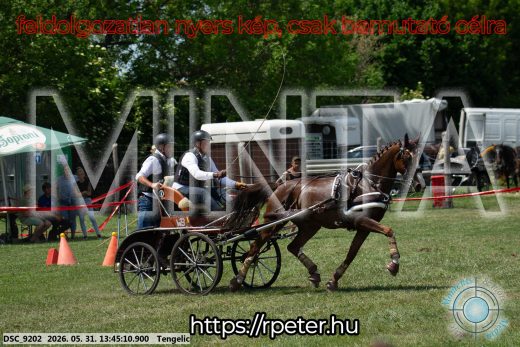 Mintakép 20260531-1551