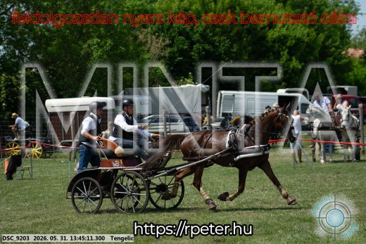 Mintakép 20260531-1552