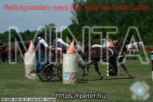 Mintakép 20260531-1553